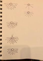Flower Design Sketches
