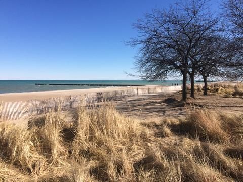 Photo of Chicago Beach in the Winter