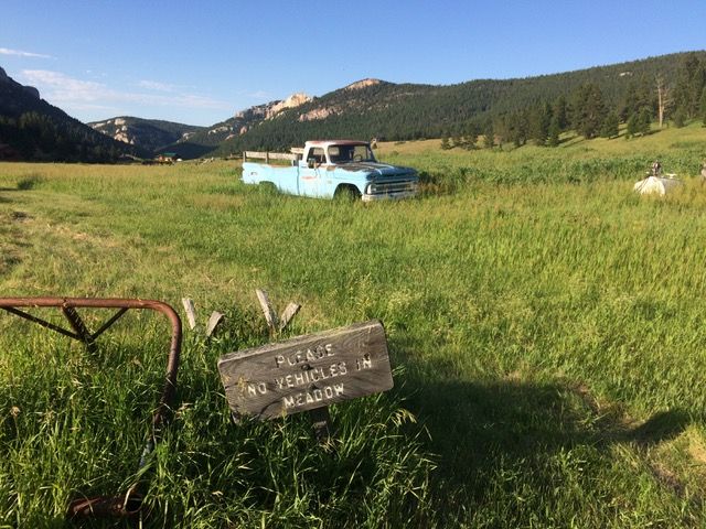 Old blue farm truck in an open field with mountains in the background