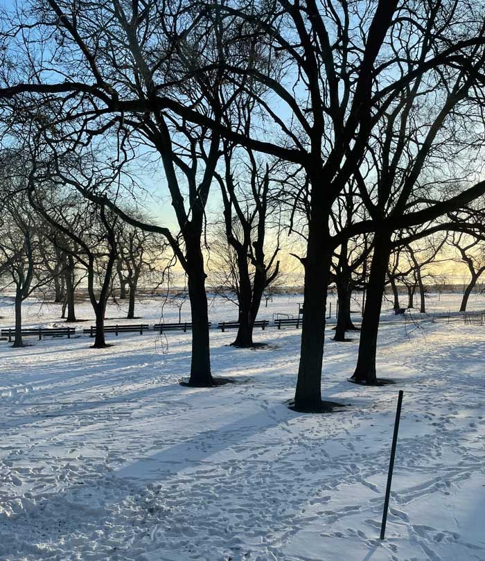 Winter in Chicago at the beach